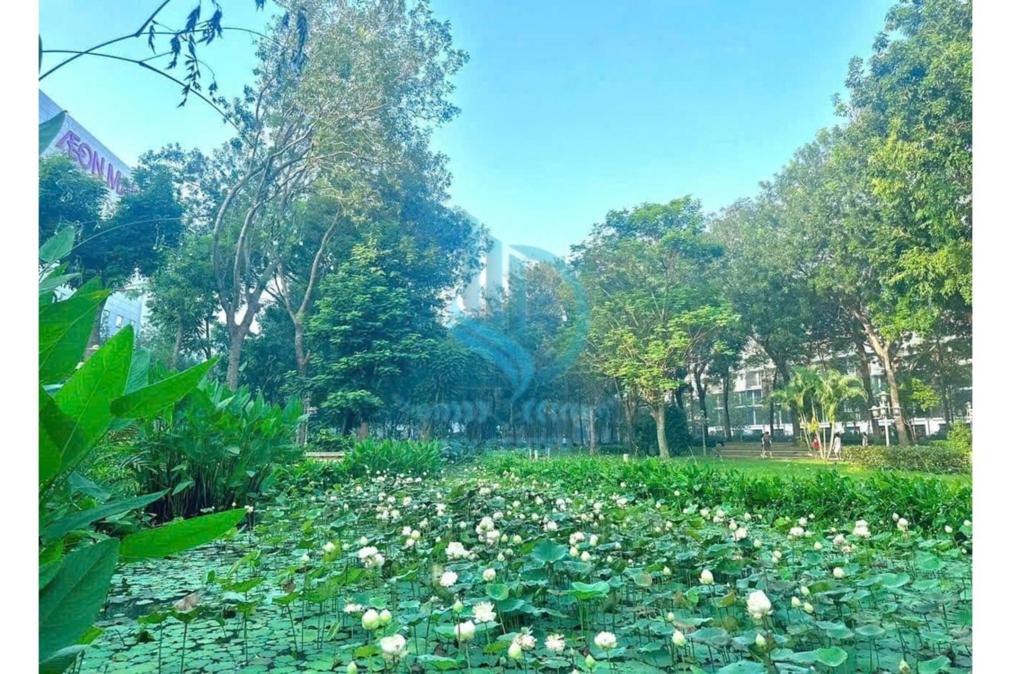 Ho Cao Cap Diamond Centery Căn hộ TP. Hồ Chí Minh